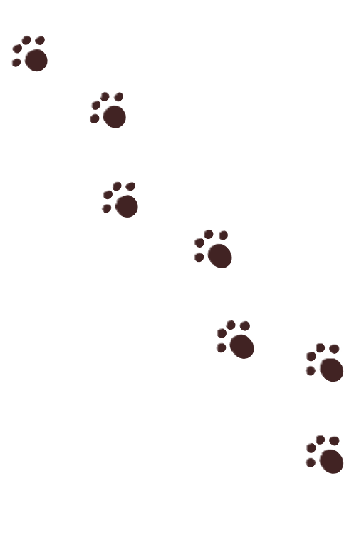 パグ犬の足あと