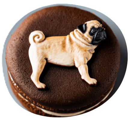 パグ犬のチョコレートケーキ